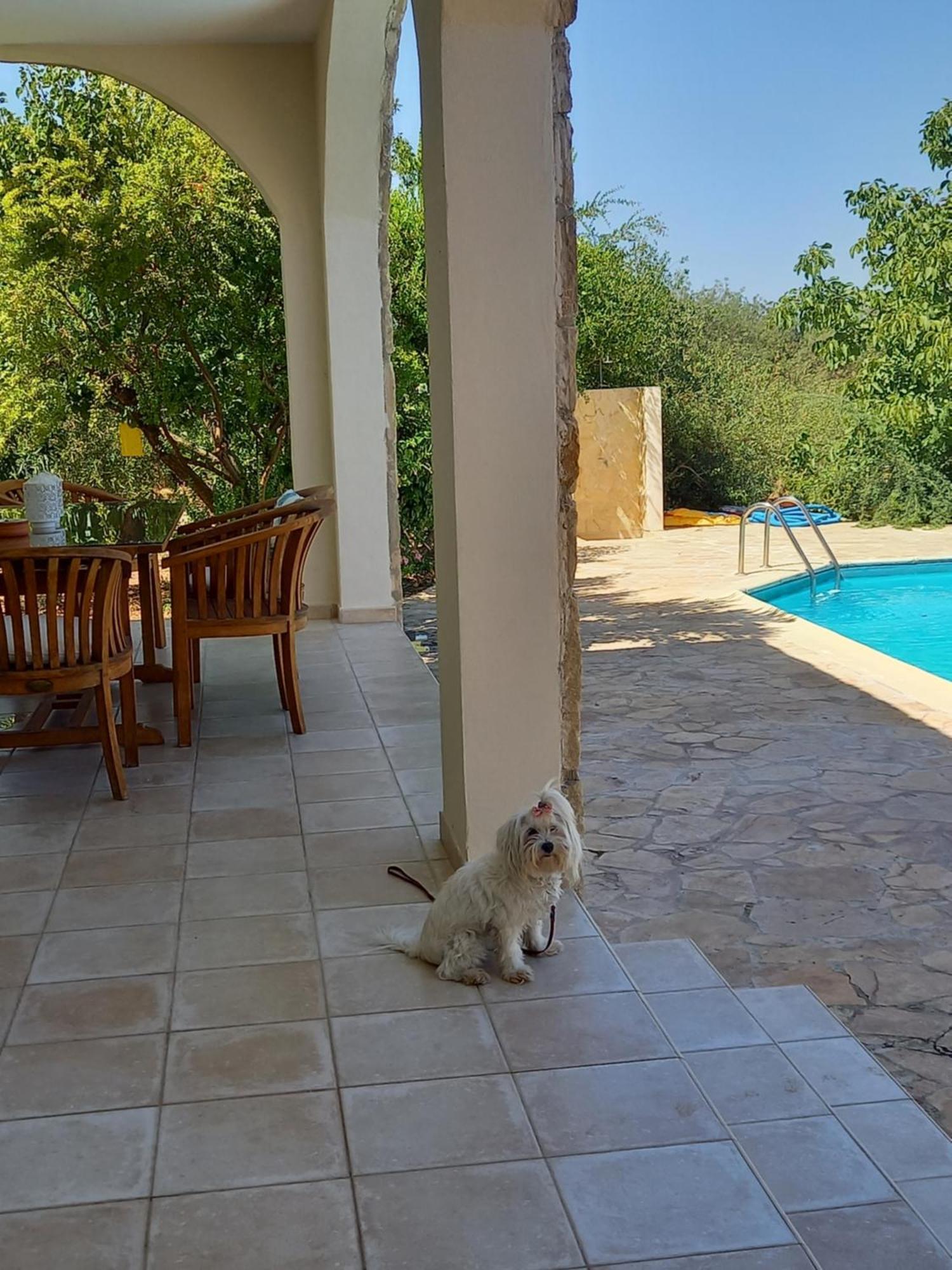 Villa Koumneni Pano Akourdalia Exteriör bild