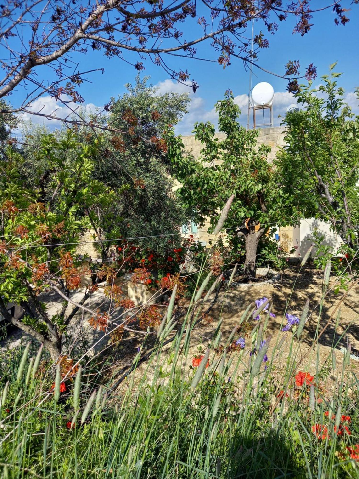 Villa Koumneni Pano Akourdalia Exteriör bild
