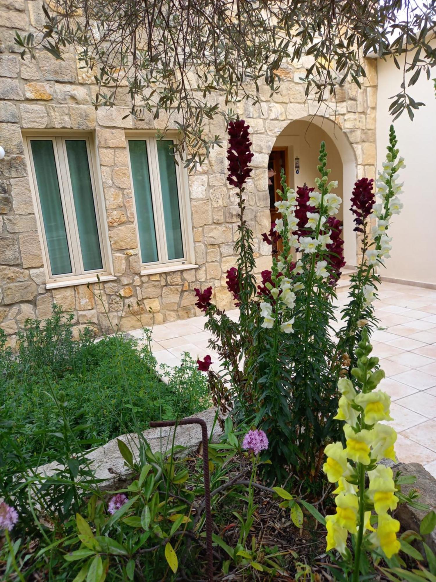 Villa Koumneni Pano Akourdalia Exteriör bild
