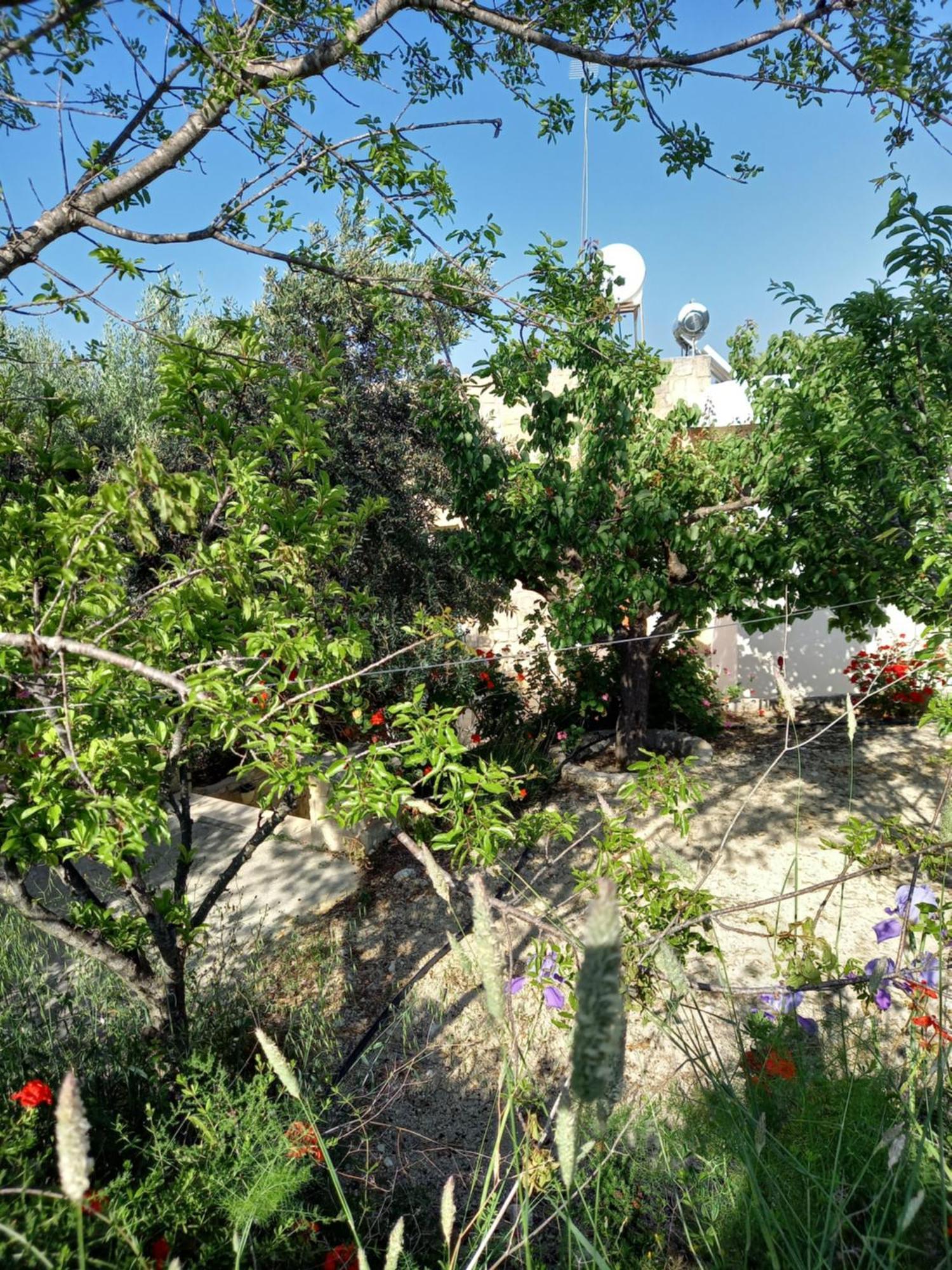 Villa Koumneni Pano Akourdalia Exteriör bild