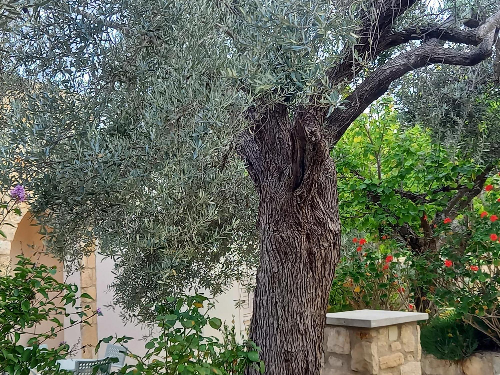 Villa Koumneni Pano Akourdalia Exteriör bild
